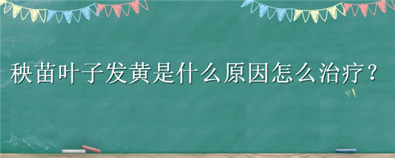 秧苗叶子发黄是什么原因怎么治疗 秧苗叶子发黄是什么原因怎么治疗呢