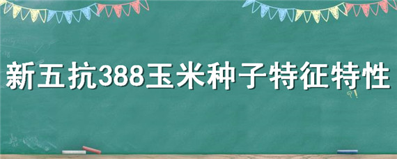 新五抗388玉米种子特征特性 新五抗388玉米种子是国审品种吗