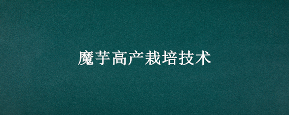 魔芋高产栽培技术（魔芋高产栽培技术与管理）