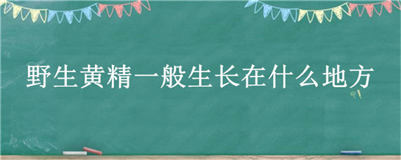 野生黄精一般生长在什么地方