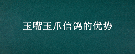 玉嘴玉爪信鸽的优势 玉嘴玉爪的鸽子好不好