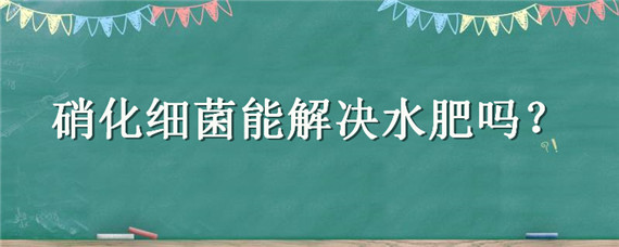 硝化细菌能解决水肥吗 硝化细菌能解决水肥吗视频