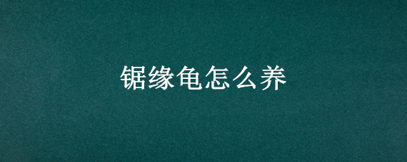 锯缘龟怎么养（锯缘龟养一只好还是两只好）