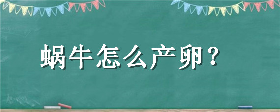 蜗牛怎么产卵（蜗牛怎么产卵的过程）