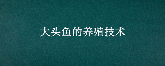 大头鱼的养殖技术 大头鱼的养殖技术视频教程