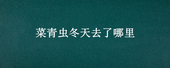 菜青虫冬天去了哪里 菜青虫冬天去了哪里 科学实验