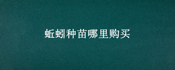 蚯蚓种苗哪里购买（蚯蚓种苗哪里购买的）