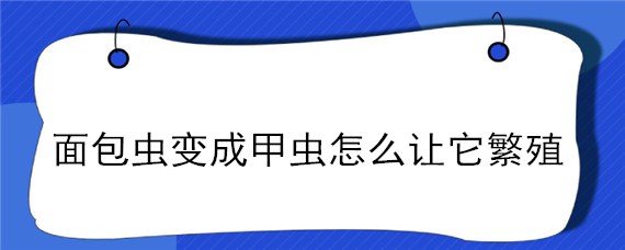 面包虫变成甲虫怎么让它繁殖（面包虫变成甲虫怎么让它繁殖起来）