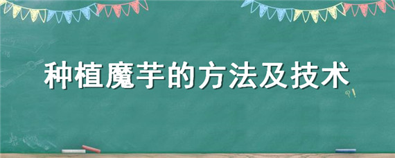 种植魔芋的方法及技术 种植魔芋的方法及技术过程