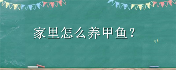 家里怎么养甲鱼（家里怎么养甲鱼经验）