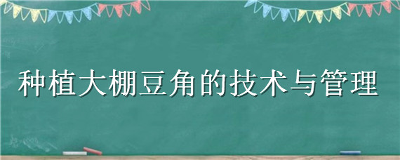 种植大棚豆角的技术与管理（大棚豆角的种植方法）
