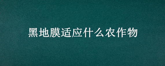 黑地膜适应什么农作物 黑地膜适应什么农作物施肥