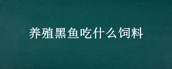 养殖黑鱼吃什么饲料 养殖黑鱼吃什么饲料长得快