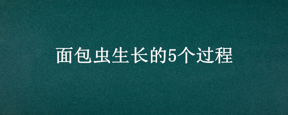 面包虫生长的5个过程 面包虫生长的5个过程图