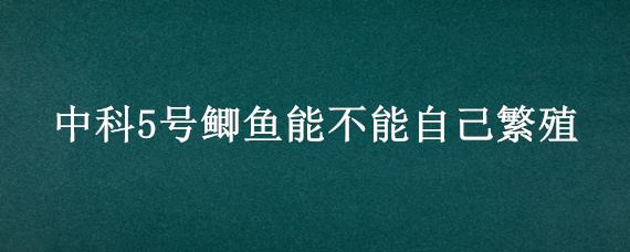 中科5号鲫鱼能不能自己繁殖 中科五号鲫鱼可以长到多大