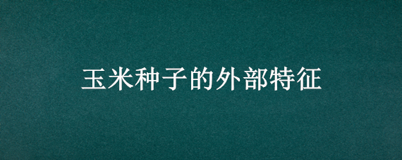 玉米种子的外部特征 玉米种子的外部特征图