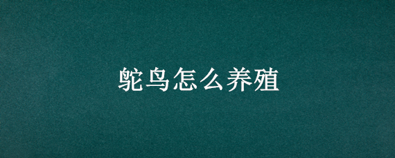 鸵鸟怎么养殖（鸵鸟怎么养殖吃什么饲料）