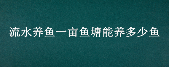 流水养鱼一亩鱼塘能养多少鱼 一亩流水鱼塘能放多少鱼苗