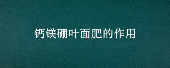 钙镁硼叶面肥的作用 钙镁硼叶面肥的作用与用途