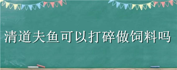 清道夫鱼可以打碎做饲料吗（清道夫鱼可以打碎做饲料吗图片）