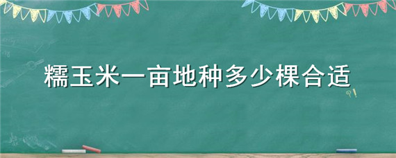 糯玉米一亩地种多少棵合适（糯玉米一亩种多少株）