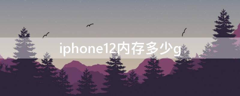 iPhone12内存多少g iPhone12内存多少起步