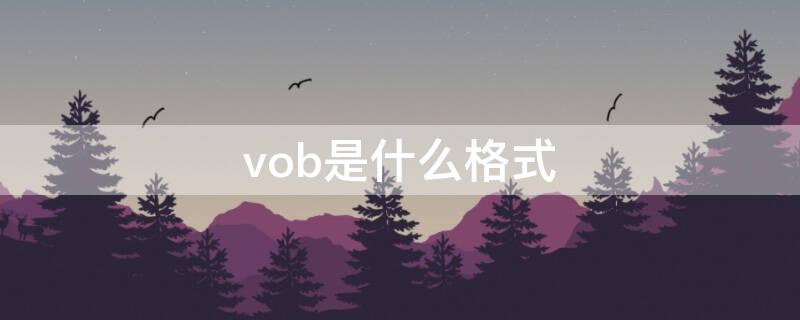 vob是什么格式（vob是什么格式的视频）