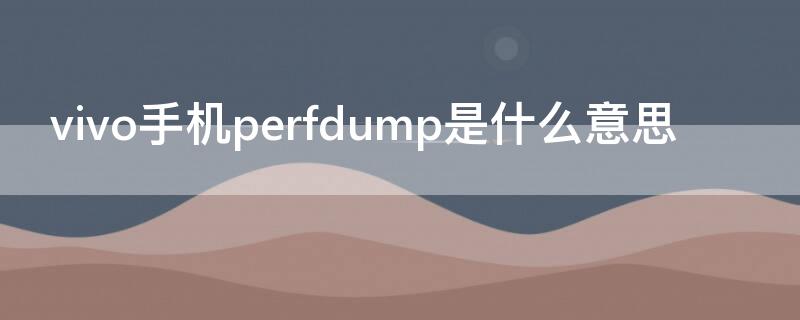 vivo手机perfdump是什么意思（手机上perfdump是什么）