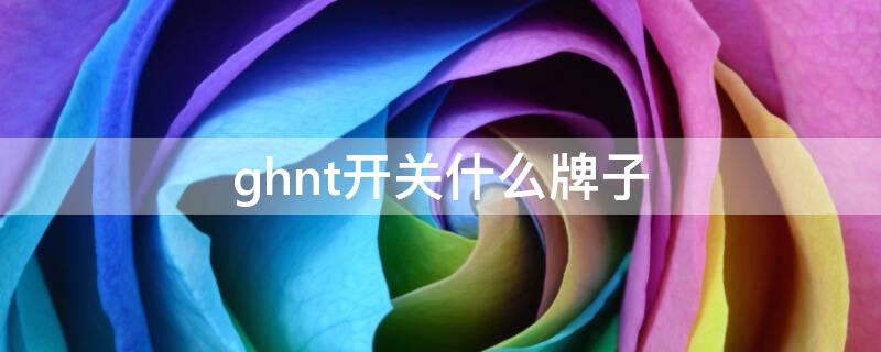 ghnt开关什么牌子（ghn是什么牌子）