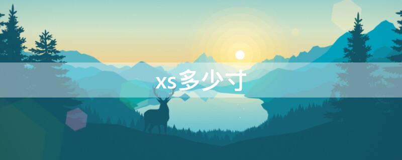 xs多少寸 苹果xs多少寸