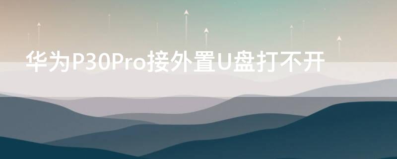 华为P30Pro接外置U盘打不开（华为p30pro插u盘不显示怎么办）