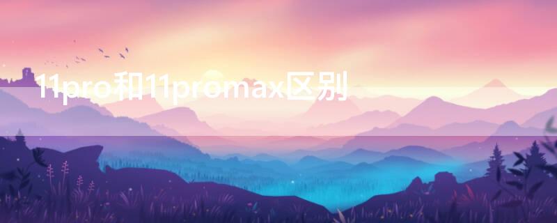 11pro和11promax区别（11pro和11proMax区别）