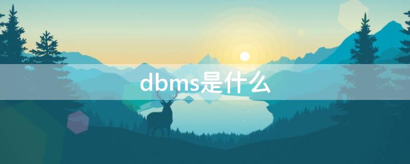 dbms是什么（dbms是什么意思）