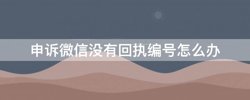 申诉微信没有回执编号怎么办（申诉微信没有回执编号怎么办呢）