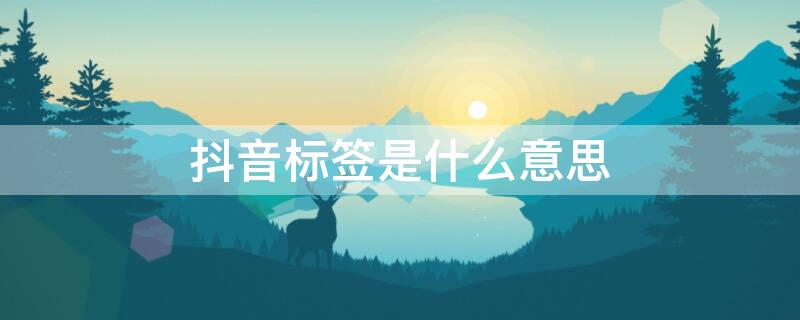 抖音标签是什么意思（抖音随拍标签是什么意思）