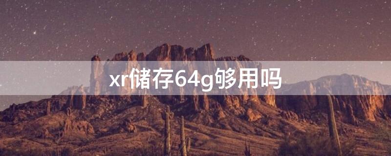 xr储存64g够用吗