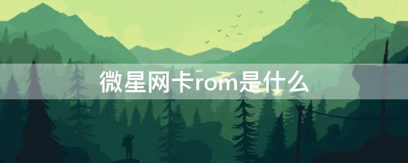 微星网卡rom是什么（微星bios里的网卡rom有什么用）