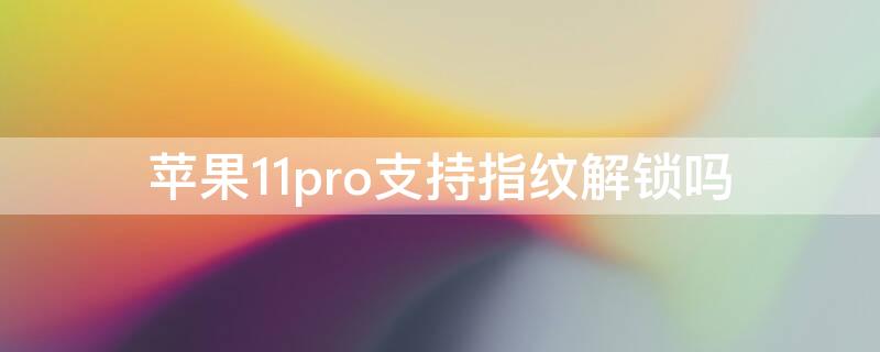 iPhone11pro支持指纹解锁吗（iphone11pro可以指纹解锁吗）