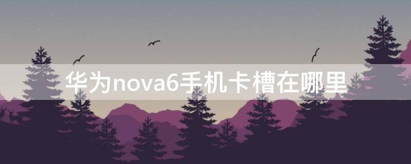 华为nova6手机卡槽在哪里（华为nova6手机卡在哪里装）