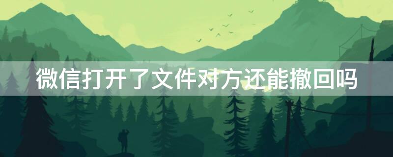 微信打开了文件对方还能撤回吗 微信打开了文件对方还能撤回吗怎么弄