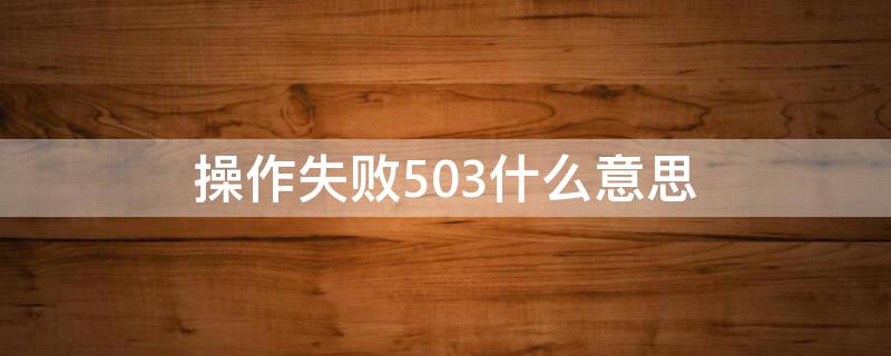 操作失败503什么意思（操作失败-5069什么意思）