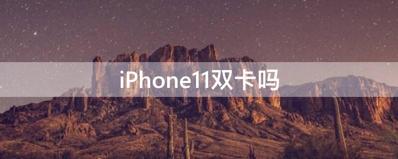 iPhone11 pro双卡吗