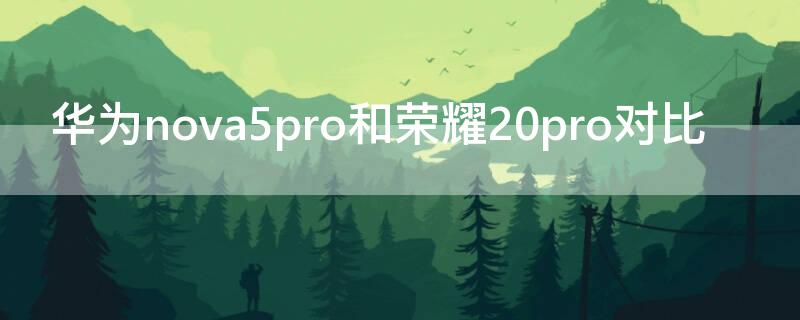 华为nova5pro和荣耀20pro对比 华为nova 5 pro和荣耀20pro区别