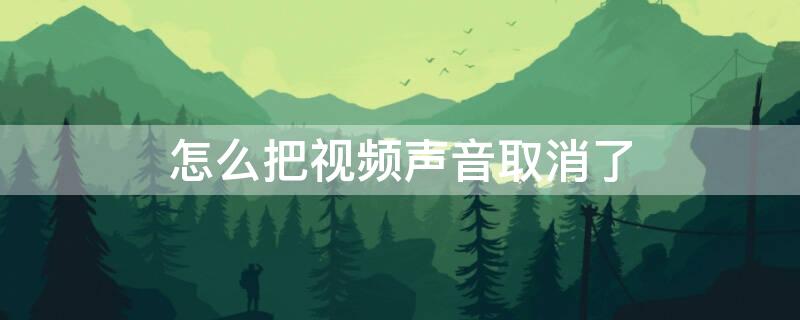 怎么把视频声音取消了 如何把视频的声音消去