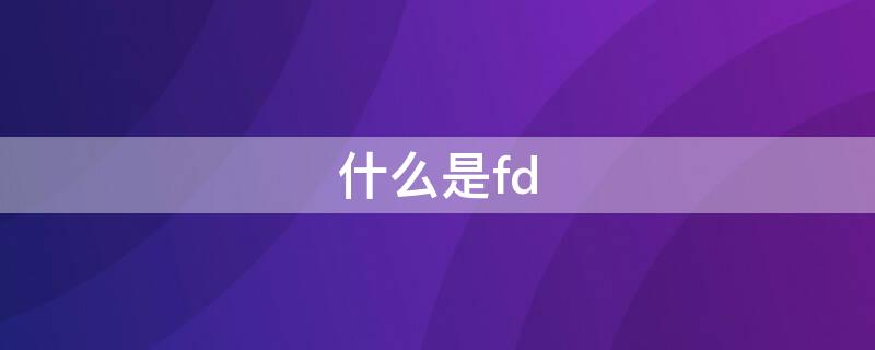 什么是fd（什么是fdi）