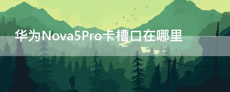 华为Nova5Pro卡槽口在哪里（华为nova5pro插卡口在哪里）