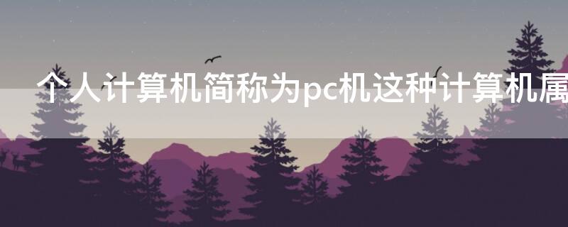 个人计算机简称为pc机这种计算机属于 个人计算机简称为pc机这种计算机属于什么类型