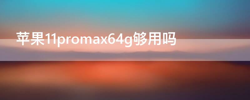 iPhone11promax64g够用吗