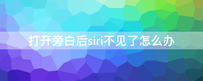 打开旁白后siri不见了怎么办 苹果打开旁白模式siri打不开怎么办