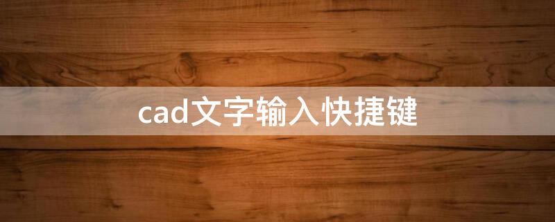 cad文字输入快捷键（怎么在cad里面输入文字）